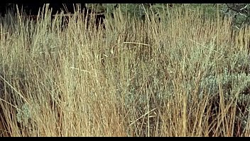 Play Fugitive Girls (1974) Full Movie